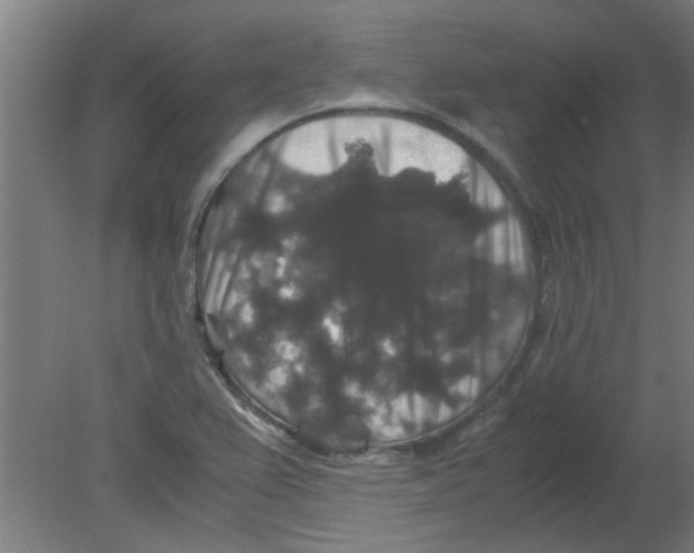 X0000080811367200701122230