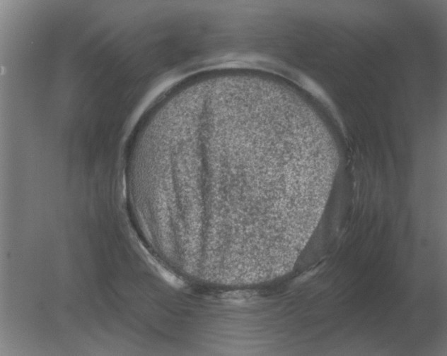 X0000080811368200701122230