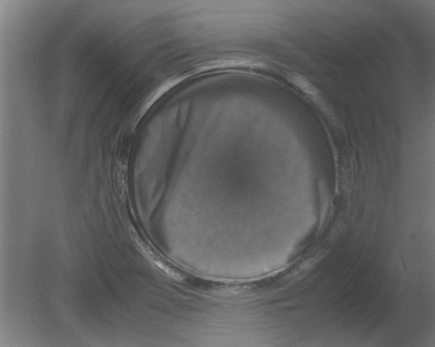 X0000080811369200701122230