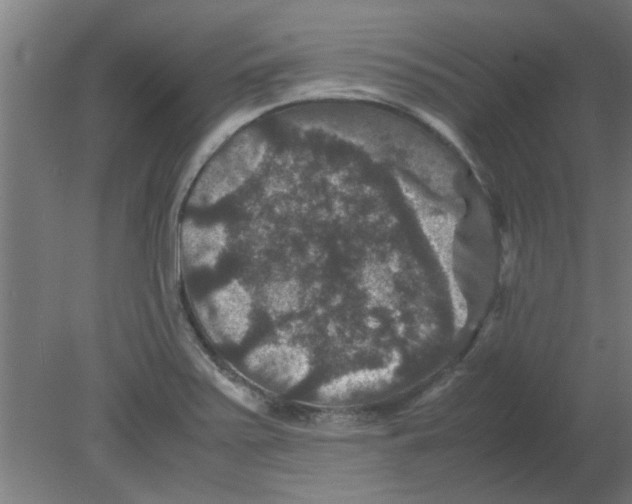 X0000080811371200701122230