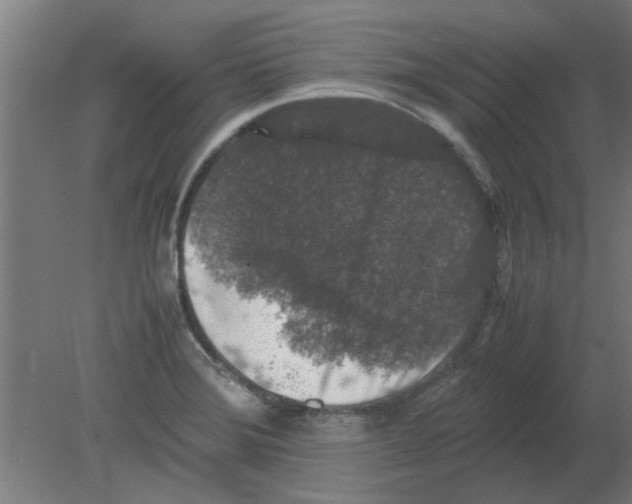 X0000080811372200701122229