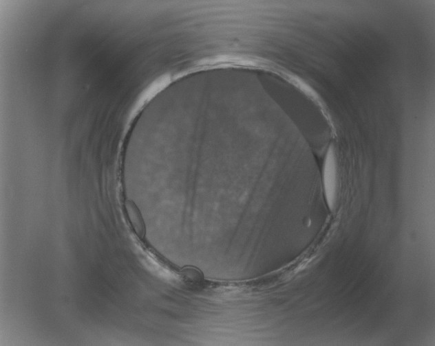 X0000080811373200701122229