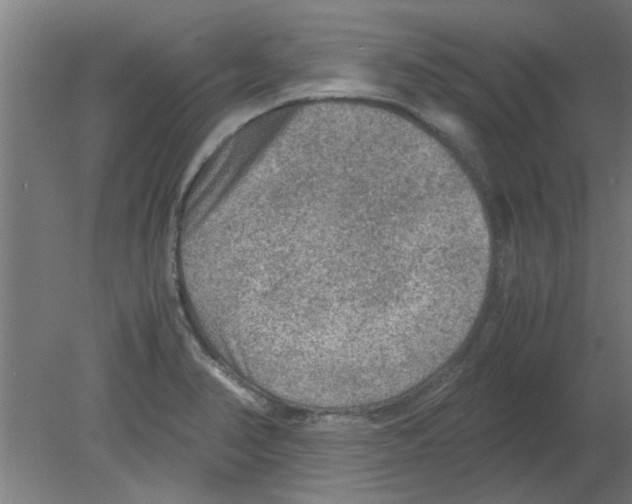 X0000080811374200701122229