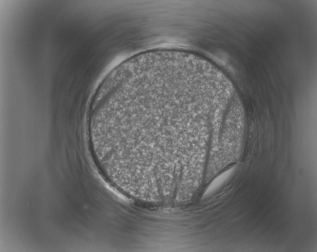 X0000080811375200701122229