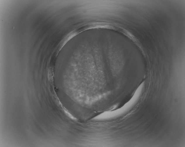 X0000080811377200701122229