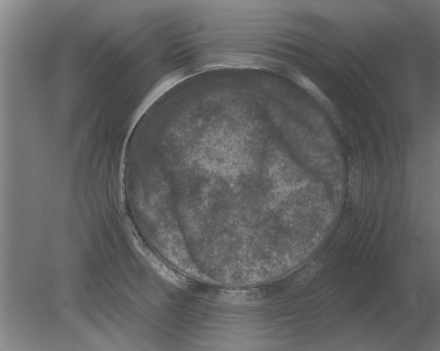 X0000080811378200701122229