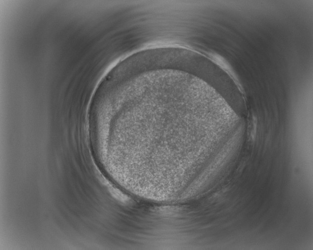 X0000080811380200701122229