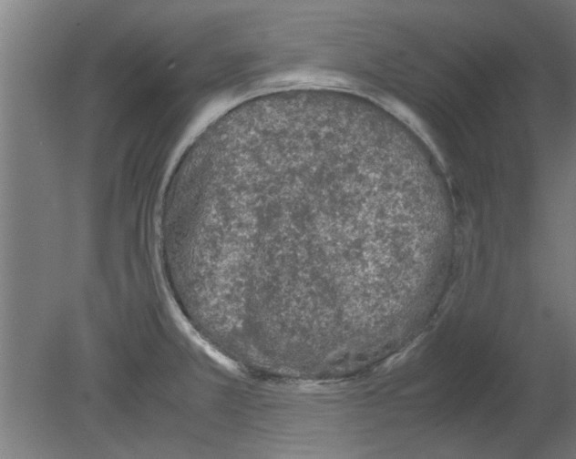 X0000080811381200701122229