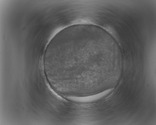 X0000080811382200701122229