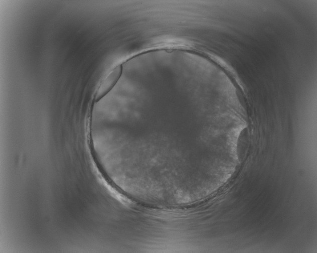 X0000080811383200701122229