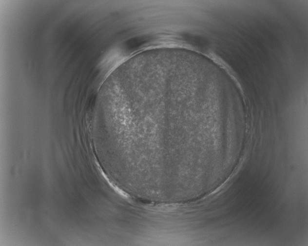 X0000080811385200701122229