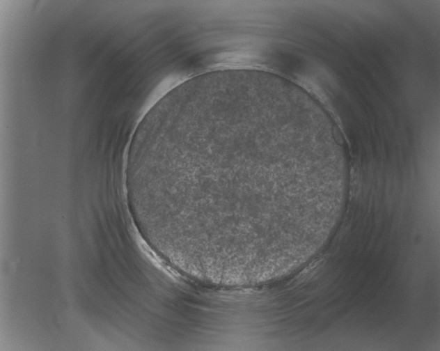 X0000080811386200701122229