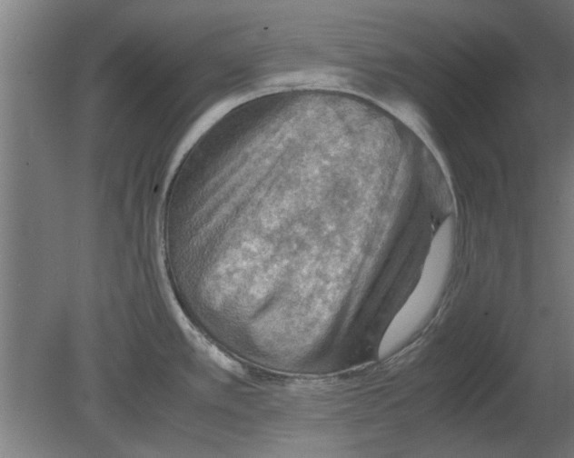 X0000080811389200701122229