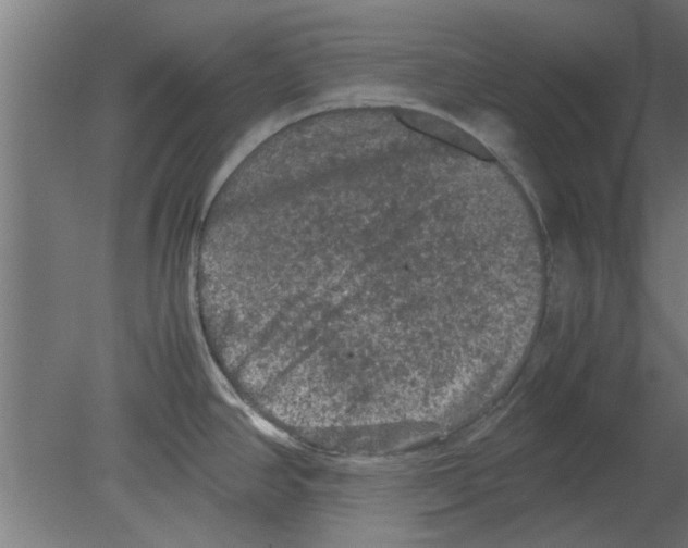 X0000080811390200701122229