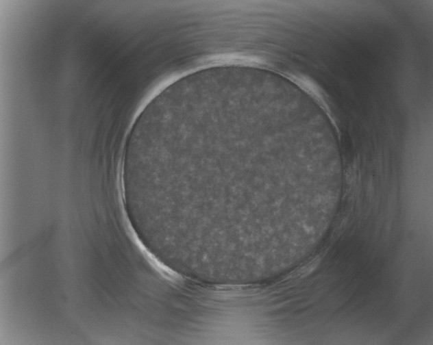 X0000080811391200701122229