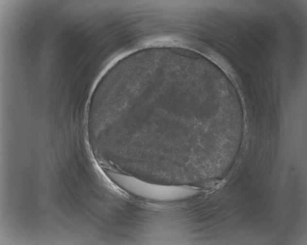 X0000080811392200701122229