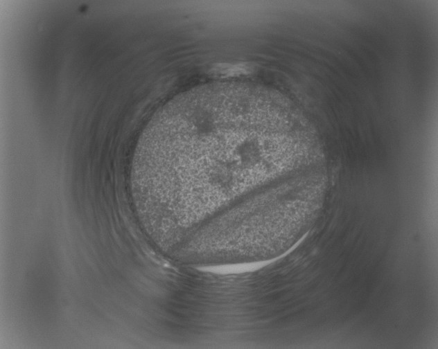 X0000080811393200701122228