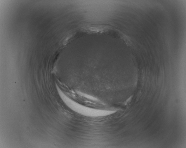 X0000080811394200701122228