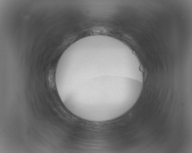 X0000080811396200701122228