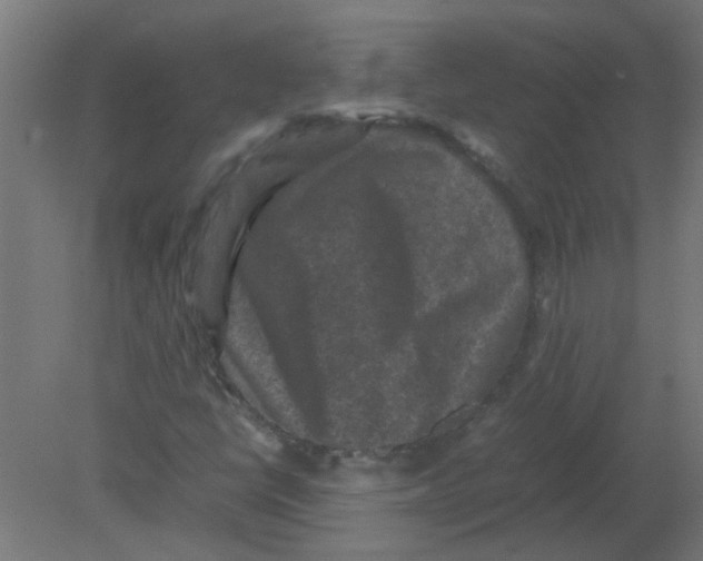 X0000080811398200701122228