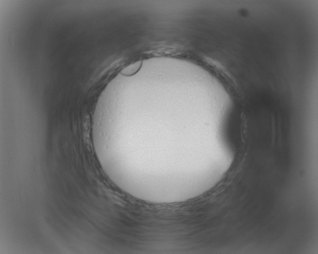 X0000080811399200701122228