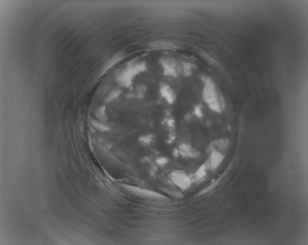 X0000080811401200701122228