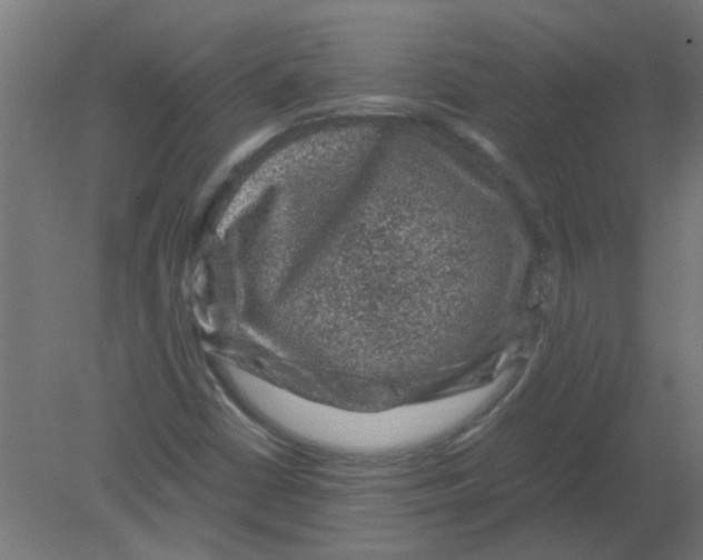 X0000080811402200701122228