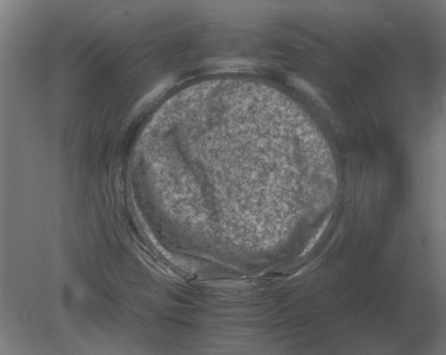 X0000080811403200701122229