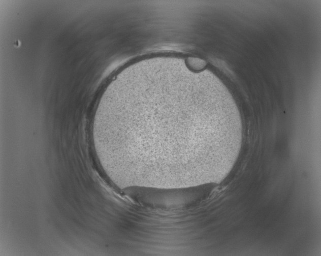 X0000080811404200701122229