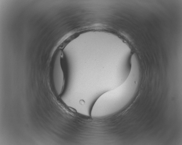 X0000080811410200701122229