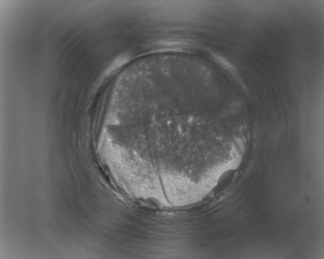 X0000080811411200701122229