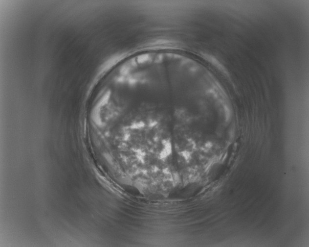 X0000080811413200701122229