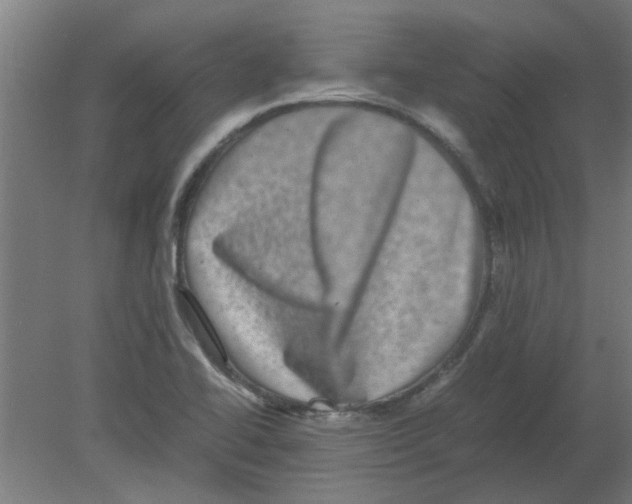 X0000080811414200701122229