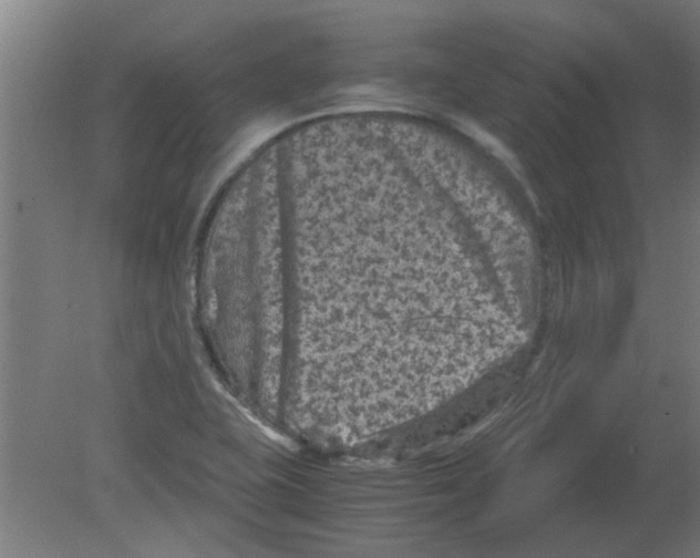 X0000080811415200701122229