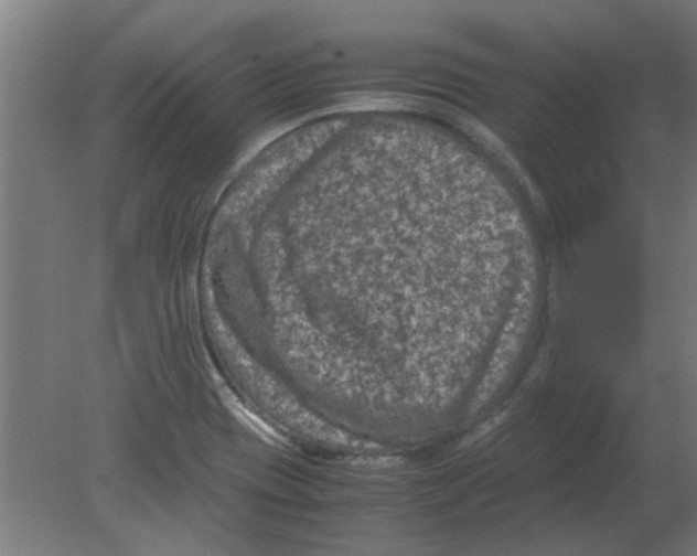 X0000080811417200701122229