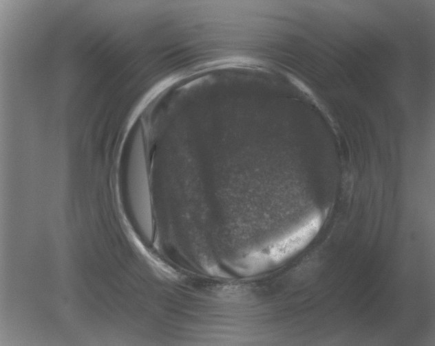 X0000080811418200701122229