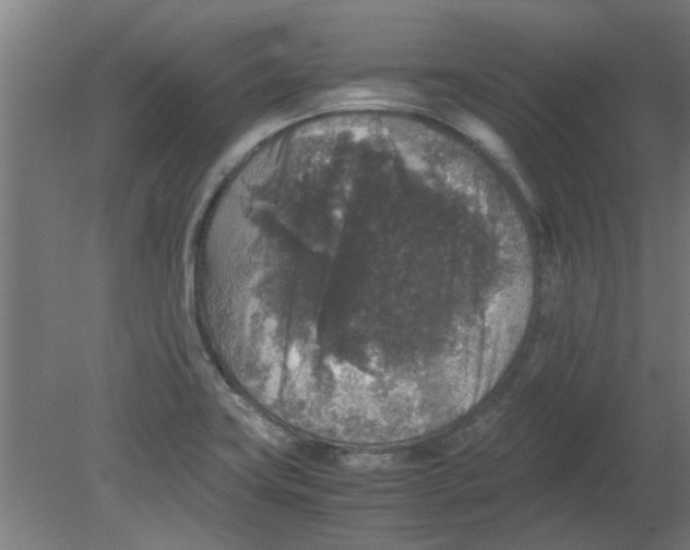 X0000080811419200701122229