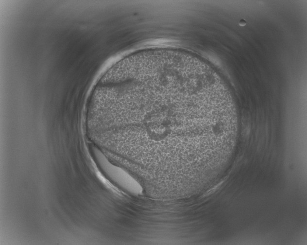 X0000080811421200701122229