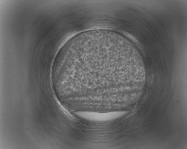 X0000080811423200701122229