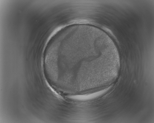 X0000080811424200701122229