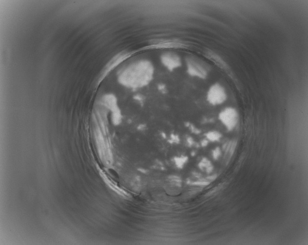 X0000080811425200701122229