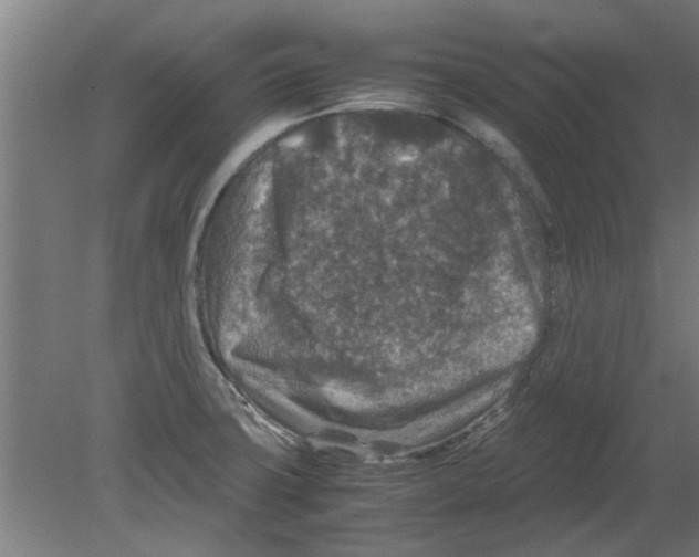 X0000080811427200701122229