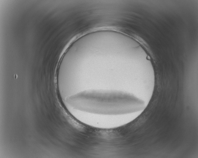 X0000080811428200701122229