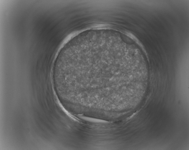 X0000080811429200701122229