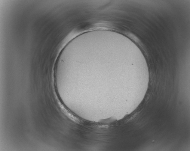 X0000080811431200701122229