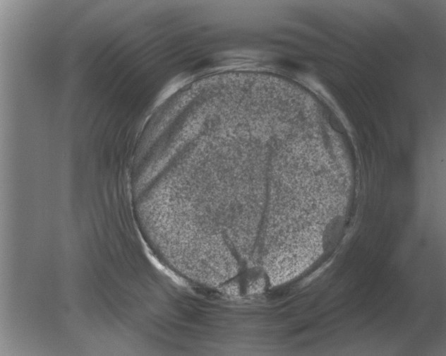 X0000080811433200701122229