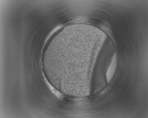 X0000080811434200701122229