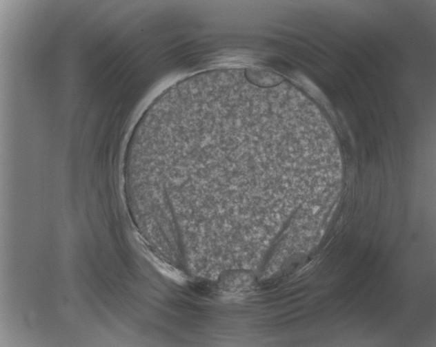 X0000080811435200701122229