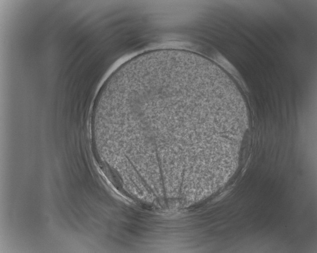 X0000080811436200701122229