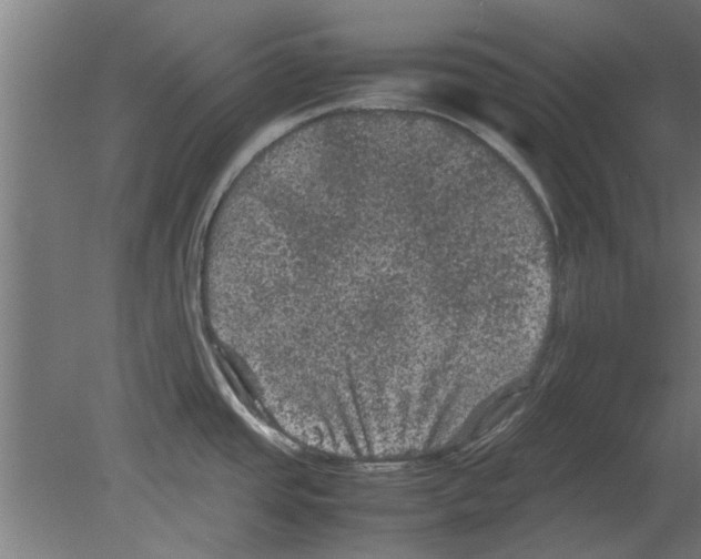 X0000080811437200701122229